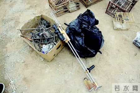 赔不起就种树! 2019年江苏男子河边诱捕2万多只, 判赔600万无力支付