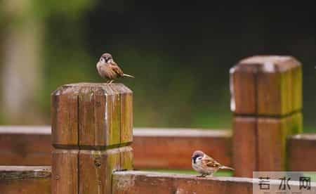 我是河南人去了成都和重庆,说句实在话:成都跟重庆真不是一回事