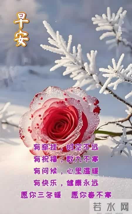 2026年1月27日，五九第二天至亲友问候祝福语图片，愿你财源广进