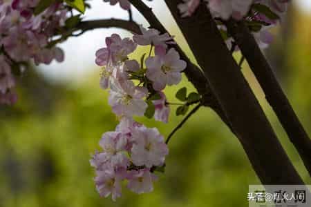 大伯来电要我卖房救他儿子，我回应，二十三年前的断绝书，您忘了