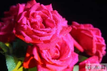 人这一辈子，说到底就三件事！忙完就该散场了，话糙理不糙