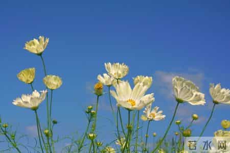 婆婆去世半年，公公要再婚，老公想用我婚前的房子给公公当婚房