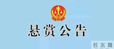 河南省沁阳市人民法院执行悬赏公告（2026年第2期）