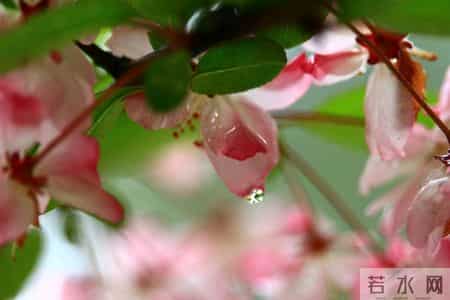 妻子再次生气回去娘家后，我决定离婚，但我父母希望我谨慎考虑