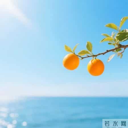 平平安安的微信头像