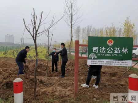 赔不起就种树! 2019年江苏男子河边诱捕2万多只, 判赔600万无力支付