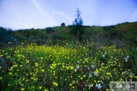 女人同意摸手意味着什么？不仅是信任，更是想让你走进她心里！