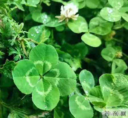 男女之间,不管你几十岁,在异性面前,别聊这些事