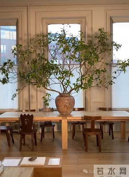 家里的高级感，一半是留白，一半是绿植。