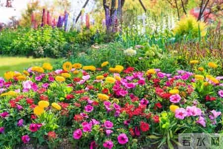 男人别错过！微信上女人发这3个表情，就是喜欢你的信号