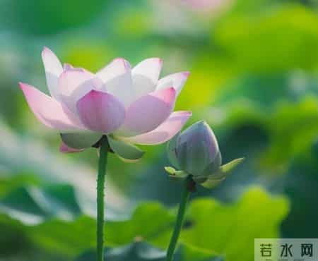 你要明白，男人只有和不喜欢的女人，才会这么相处，没人说但你要懂