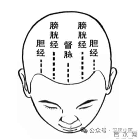 头发变黑的极简法，从今天开始，坚持40天，白发、脱发一去不复返