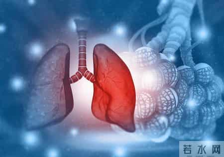 医生提醒：无论多坏的肺，只要常吃这5样，肺一天比一天好。