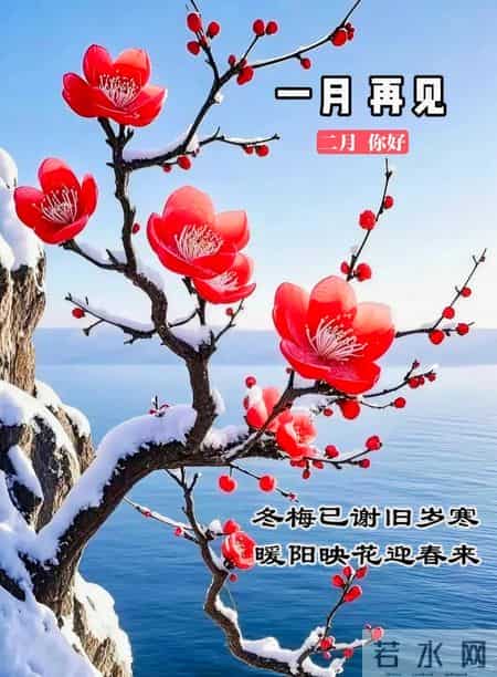 1月31日周六早安，1月再见，2月你好，所遇皆美好，未来皆可期。