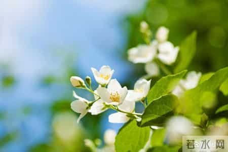 男人会主动离开婚外女人,几乎都不是因为爱老婆,而是出于3个“怕”