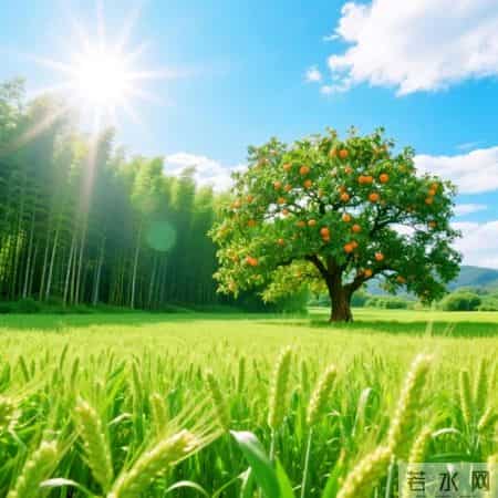 2026旺自己的微信头像｜50张