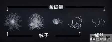 羽绒服300块？大牌有多暴利？