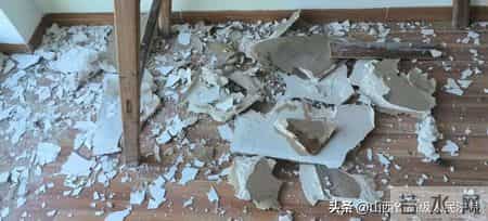 白蚁入侵毁家，业主拒交7000多元物业费被起诉，法院：酌情减免！