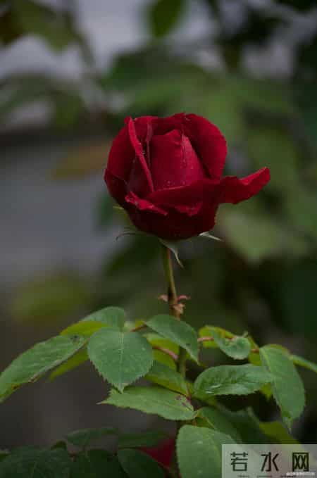 女人想让你“得手”，最明显的信号，不是主动靠近，而是默许你做这“一件事”