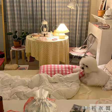 一辈子没人心疼的三大星座