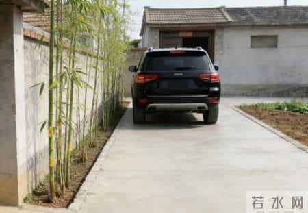 隔壁把我家地抹水泥做车位，我不闹种20株毛竹，三年后他全家搬走