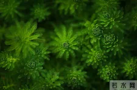 人老了，走不动时，断了这4个念想，余生才活得舒坦