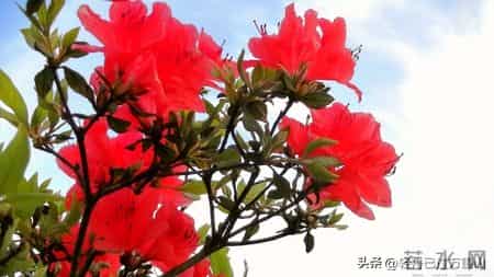 男性只要保持一种姿态，对女性具有极强吸引力