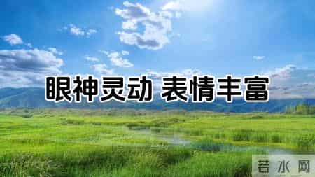 有美貌有脑子的三大星座女