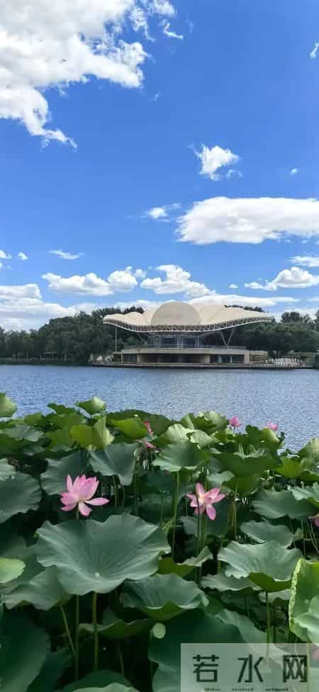北京大喜讯！朝阳区迎来发展新机遇，住在这儿的人太幸福了！