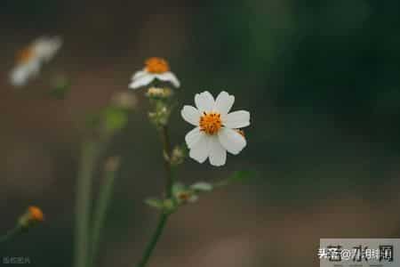 人的本性本质不会改变,如果已经看出一个人的恶,就要远离不再信