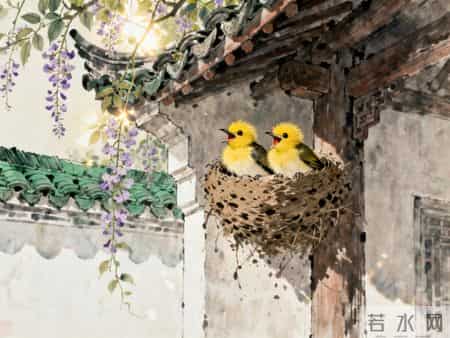 燕子筑巢别急着高兴！老祖宗告诫：若出现这3种“怪象”，往往是家败的前兆