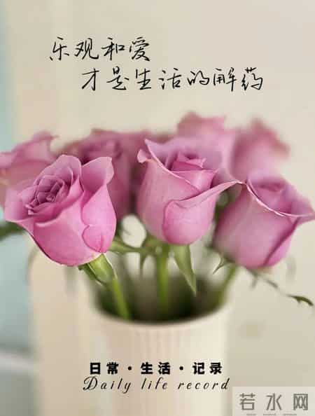 “一句顶一万句，句句人间清醒”