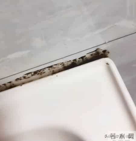 为啥年轻人卫生间不装洗手台了?看了这户人家,终于明白了