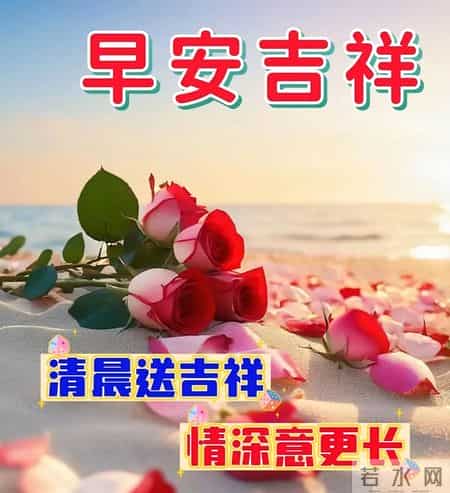 31张每天不重样的早安祝福唯美图片，早上好暖心祝福语精选大全