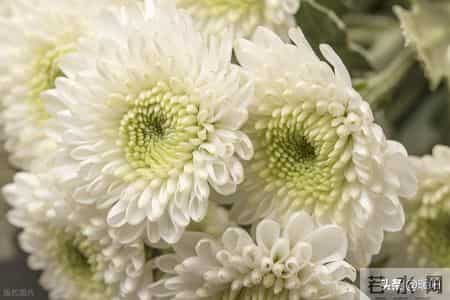 1月7日公布3月30实施，殡葬新规能让白事回归理性吗