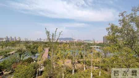 青岛人的五大怪习惯！外地人难接受，直呼 “太离谱”！