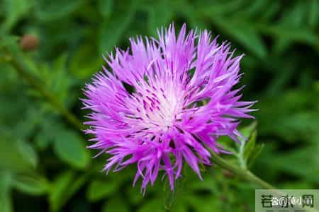 男人一旦为其他女人做出了这4件事，就是不爱自己的老婆，很难回头了