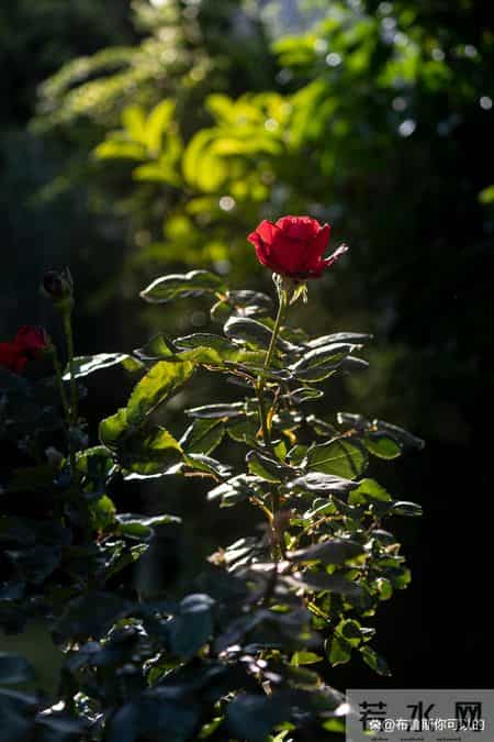 女人想让你“得手”，最明显的信号，不是主动靠近，而是默许你做这“一件事”