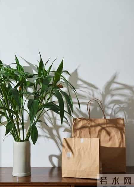 上海一男子，因“鱼缸养富贵竹”火了，网友：这该死的治愈感~