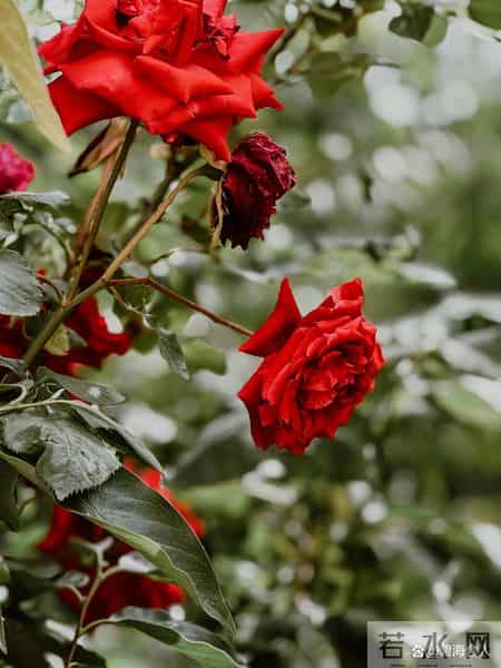 一个城府深的人，报复你的方式往往只有三种，看似不动声色，其实招招致命