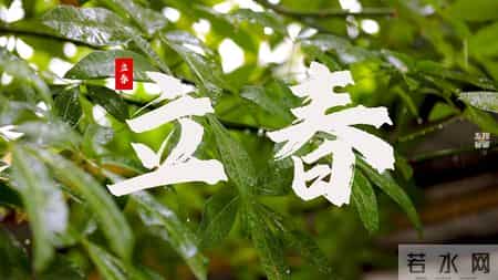 立春将至！提醒糖尿病人，牢记：1不洗，2不碰，3要吃，要了解！