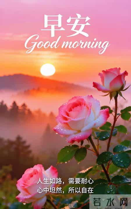 早安 ~ 今日的美好已装满：一缕阳光，一阵花香，满满好运。