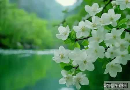 女人接吻时，有这“下意识反应”，说明她已对你“彻底沦陷”