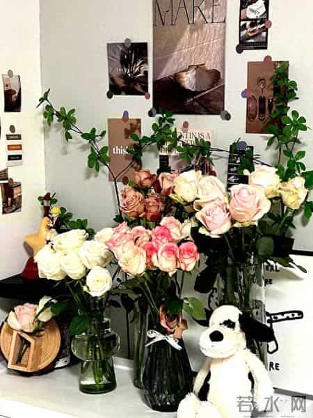 女子晒老公养的花,贵还难看,一言难尽咋劝退,网友:其实不丑