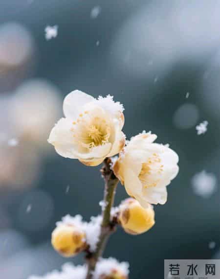 晚年钞票压箱底的四个星座，根本闲不下来