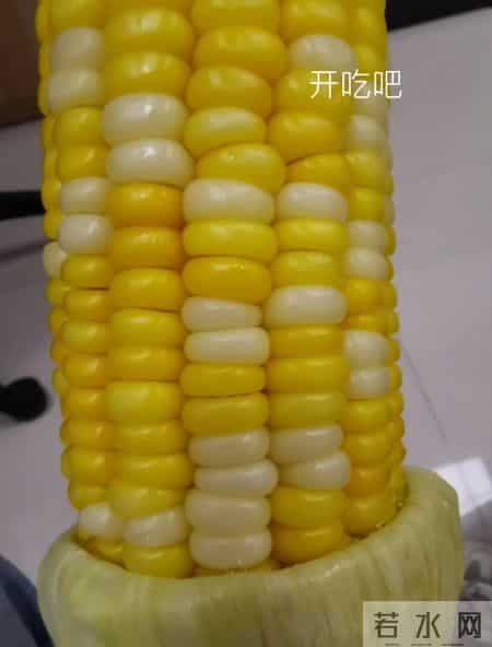 被严重低估的做饭神器，是「微波炉」！以前看不上，现在离不开