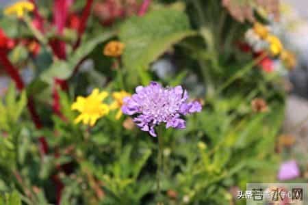 如果一个男人混到了六十岁，能拥有这3样东西。那绝对是人生赢家