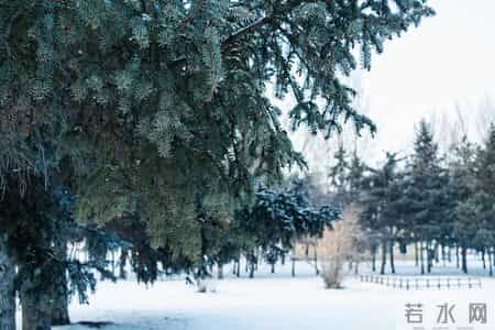 邓学平辩护词精选｜辅警不能单独执法，殴打辅警不构成妨害公务罪