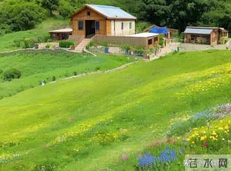 丧偶后别硬扛！这4个坑真的越踩越累，很多人都中招了