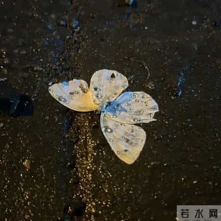 “这样退场,让某人瞬间破防”